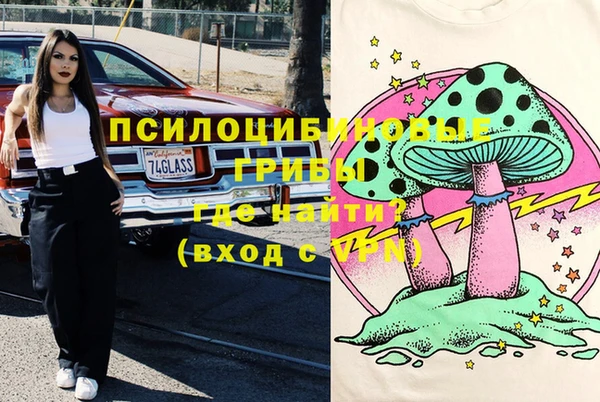 прущая мука Богородицк